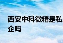 西安中科微精是私人的吗 西安中科微精是国企吗 
