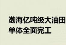 渤海亿吨级大油田工程建设取得新进展14个单体全面完工