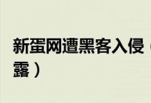 新蛋网遭黑客入侵（遭恶意攻击信用卡数据泄露）
