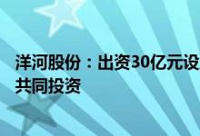 洋河股份：出资30亿元设立洋河梦想投资并与专业投资机构共同投资