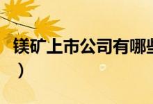 镁矿上市公司有哪些（相关上市公司龙头一览）