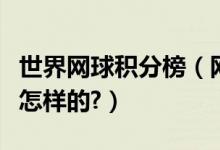 世界网球积分榜（网球世界排名的积分规则是怎样的?）