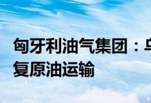 匈牙利油气集团：乌克兰方面承诺在几天内恢复原油运输