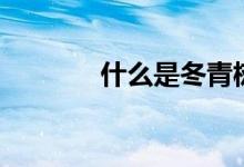 什么是冬青树（什么是冬菇）