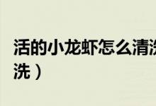 活的小龙虾怎么清洗视频（活的小龙虾怎么清洗）