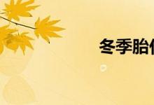 冬季胎什么时候用 