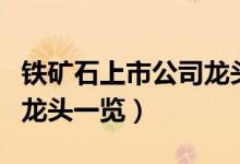 铁矿石上市公司龙头有哪些（铁矿石上市公司龙头一览）
