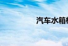 汽车水箱柳絮怎么清理 