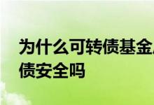 为什么可转债基金风险高 买基金持仓有可转债安全吗