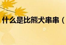 什么是比熊犬串串（什么是比熊犬（图文））