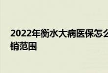 2022年衡水大病医保怎么办理流程 衡水医保办理条件和报销范围 