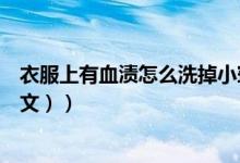 衣服上有血渍怎么洗掉小窍门（衣服上有血渍怎么洗掉（图文））