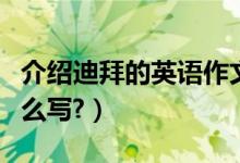 介绍迪拜的英语作文（迪拜街头风光的作文怎么写?）