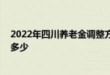 2022年四川养老金调整方案有消息吗 高龄人员养老金会涨多少 