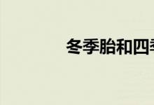 冬季胎和四季胎有什么区别 