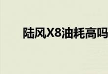  陆风X8油耗高吗真实车主是这样说的 