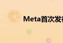 Meta首次发行100亿美元债券