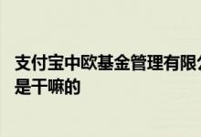 支付宝中欧基金管理有限公司 支付宝中欧基金管理有限公司是干嘛的