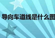 导向车道线是什么图标（导向车道线是什么）