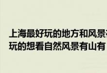 上海最好玩的地方和风景在哪里（上海周边都有哪些地方好玩的想看自然风景有山有）