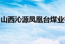 山西沁源凤凰台煤业有限公司被责令停产整顿