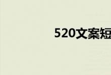 520文案短句（520文案）