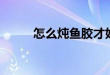 怎么炖鱼胶才好吃（怎么炖鱼呢）