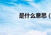 是什么意思（荣威350 首付1）