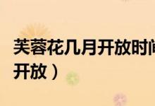 芙蓉花几月开放时间（想问下芙蓉花什么时候开放）