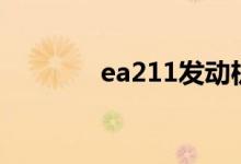  ea211发动机异响什么原因? 