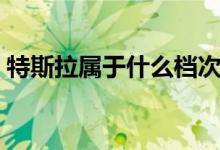 特斯拉属于什么档次（最便宜的多少钱一辆）