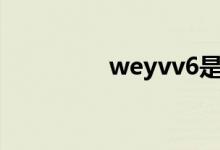 weyvv6是什么牌子的车 