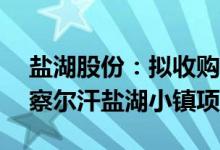 盐湖股份：拟收购梦幻盐湖40%股权并投建察尔汗盐湖小镇项目
