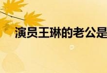 演员王琳的老公是谁（离婚原因是怎么）