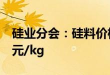硅业分会：硅料价格继续上涨均价最高304.2元/kg