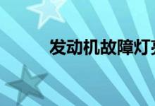 发动机故障灯亮发动机抖动熄火 