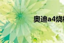 奥迪a4烧机油彻底解决 