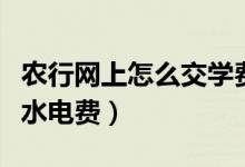 农行网上怎么交学费住宿费（农行网上怎么交水电费）