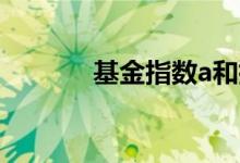 基金指数a和指数c有什么区别