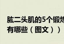 肱二头肌的5个锻炼方法（肱二头肌锻炼方法有哪些（图文））
