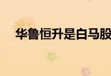 华鲁恒升是白马股么 华鲁恒升是国企吗 
