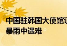 中国驻韩国大使馆证实：两名中国公民在韩国暴雨中遇难
