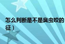 怎么判断是不是臭虫咬的（被臭虫咬过的疙瘩有什么明显特征）