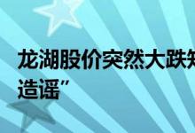龙湖股价突然大跌知情人士：“商票逾期纯属造谣”