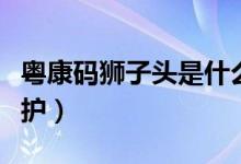 粤康码狮子头是什么意思（说明你拥有强力守护）