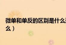 微单和单反的区别是什么通俗易懂（微单和单反的区别是什么）