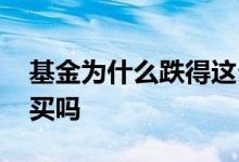 基金为什么跌得这么厉害 基金估值大跌可以买吗