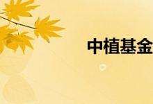 中植基金有哪些优势？
