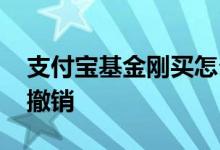 支付宝基金刚买怎么退 支付宝基金刚买怎么撤销