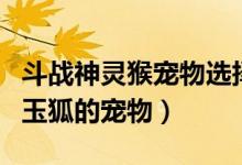 斗战神灵猴宠物选择（斗战神现在最适合移动玉狐的宠物）
